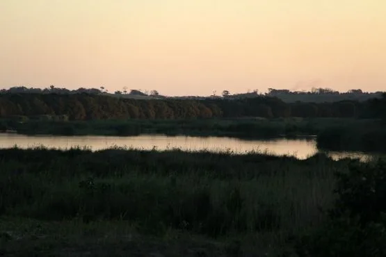Estuario Lago Santa Lucia