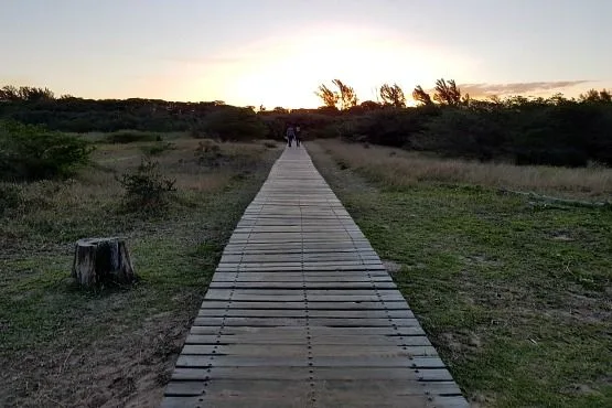 Paseo Estuario Santa Lucia