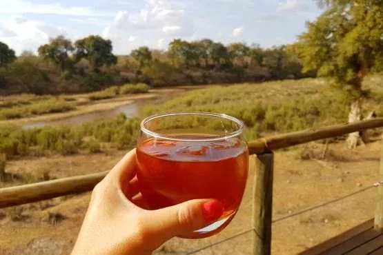 cuando viajar a sudafrica