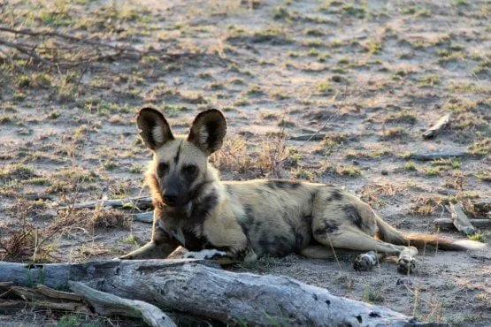 lo mejor de sudafrica