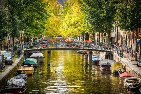 things to do in amsterdam