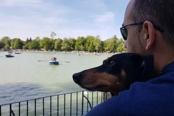 Madrid Petfriendly