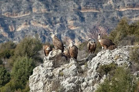 alrededores de madrid