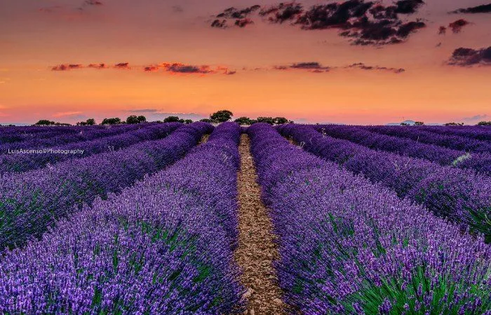 escapadas romanticas cerca de madrid baratas