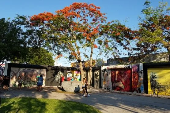 Wynwood walls