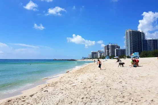 que hacer en miami beach