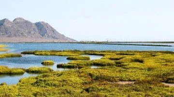 que ver en cabo de gata