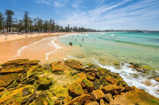 what to do in sydney