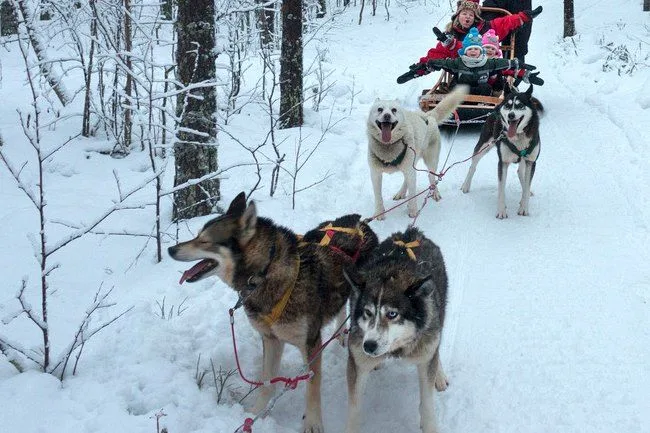 Best Places to Spend Christmas