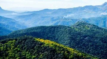 Gran senda de Malaga