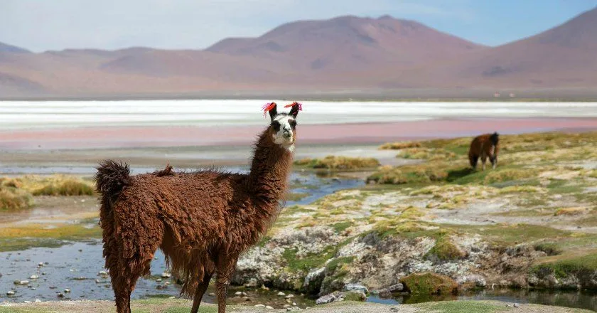 5 Lugares para visitar en Bolivia que te dejarán con la boca abierta