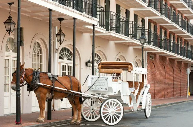 Where to Go For Christmas in the USA