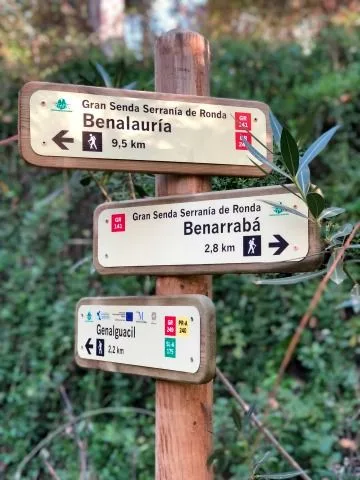 Imagen del sitio web