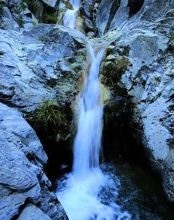 Imagen del sitio web