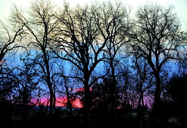 senderismo en malaga