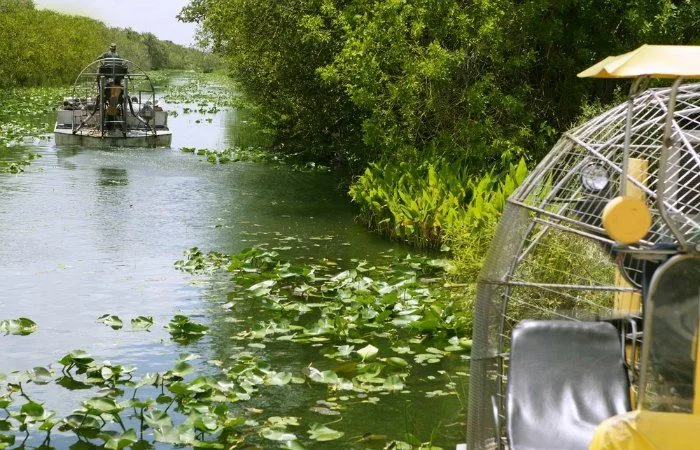 excursiones a los everglades desde miami