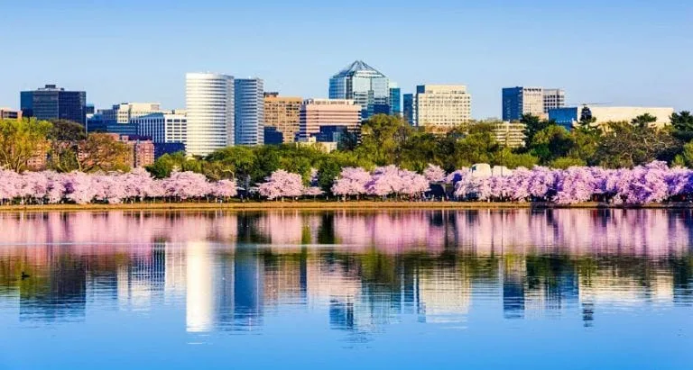 la costa este de estados unidos 768x411