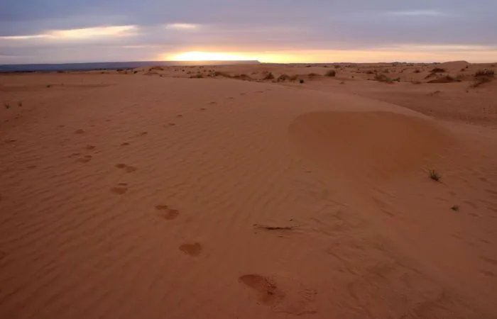 amanecer en el desierto