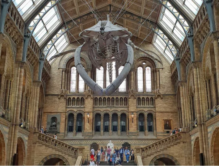 museo de ciencias naturales Londres