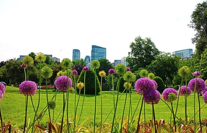 cosas que hacer en boston gratis