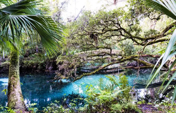 que hacer en orlando fl