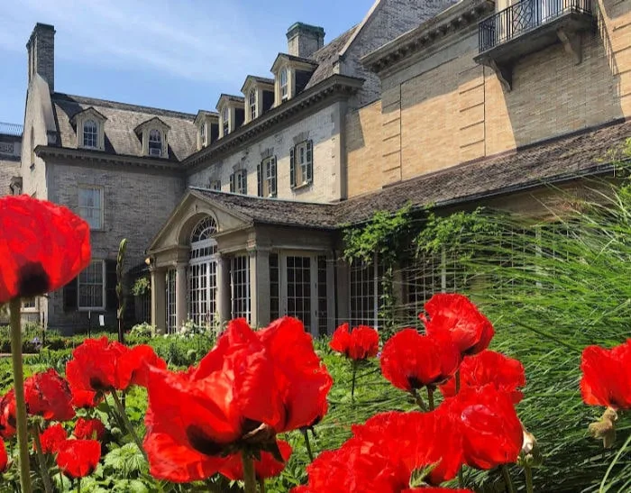 Things to do in rochester