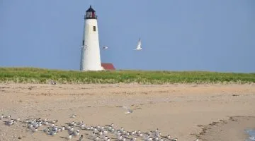Top Day Trips from Boston 360x200