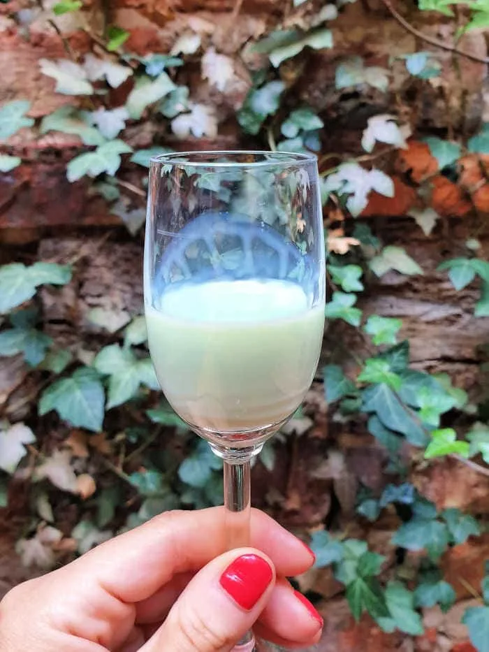 Celle Alemania Turismo