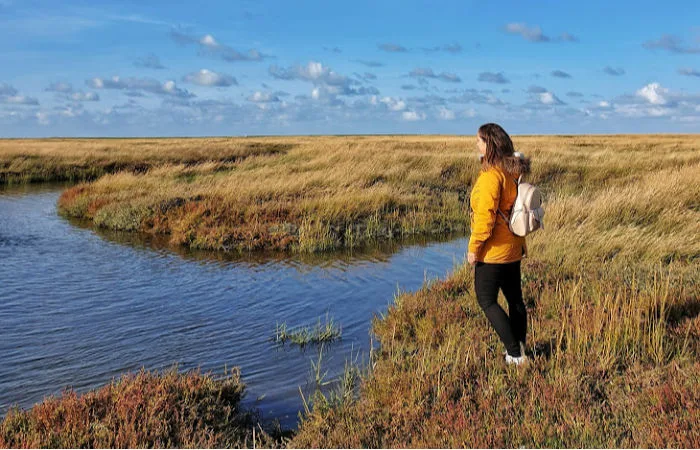 costa norte de Alemania 