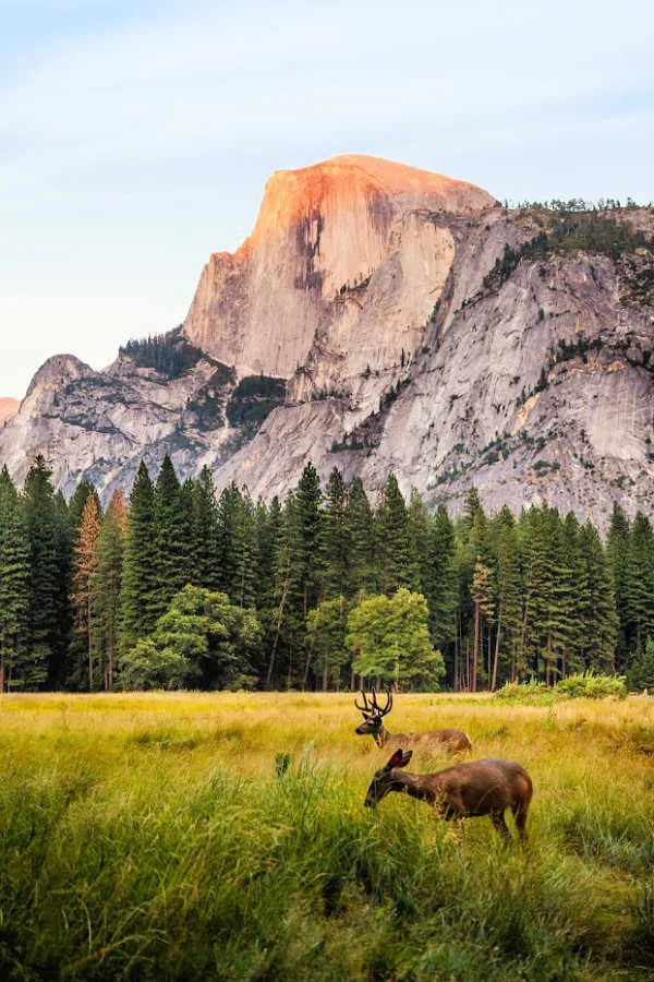 US National Parks checklist
