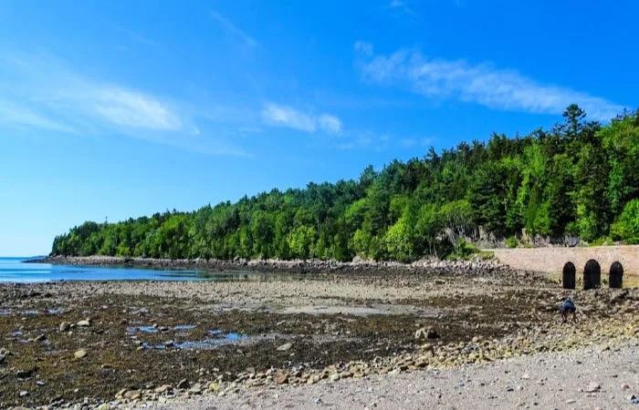 american national parks Acadia National Park