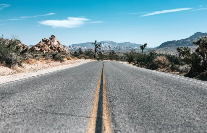 road trip to joshua tree national park