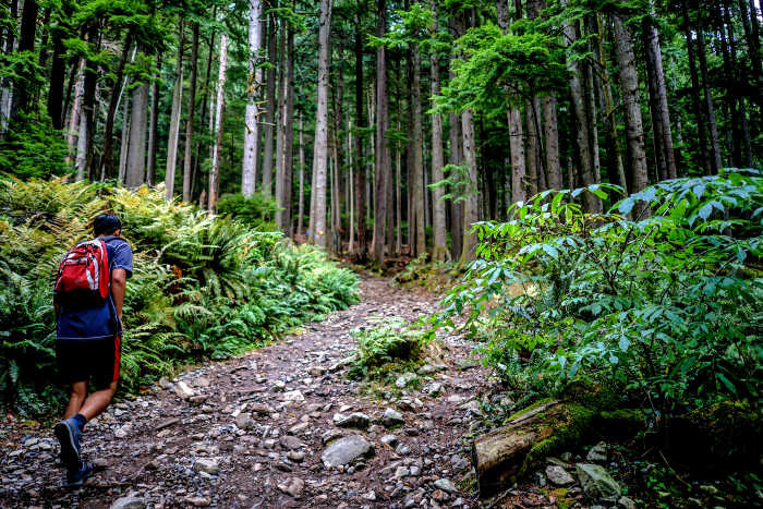 Grouse Mountain, hiking the Peak of Vancouver