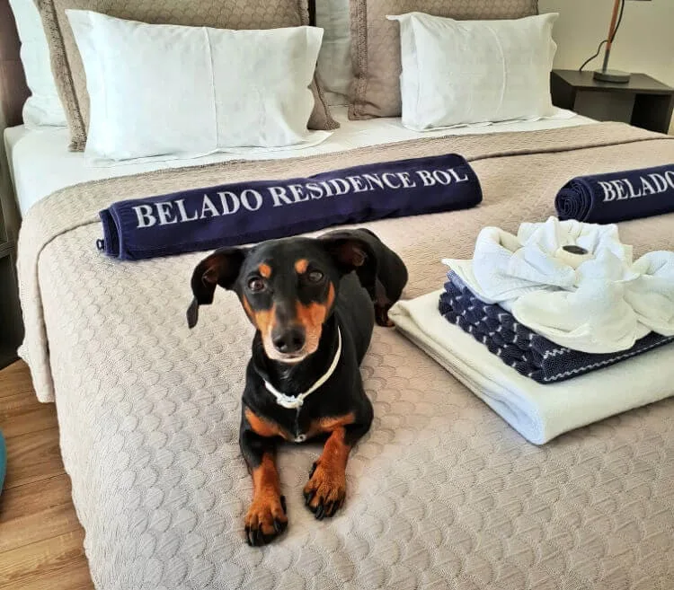 hoteles que admiten mascotas