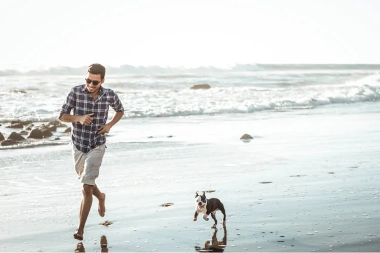 vacaciones con perro en la playa