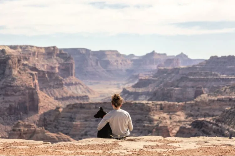 viajando con perro en el extranjero