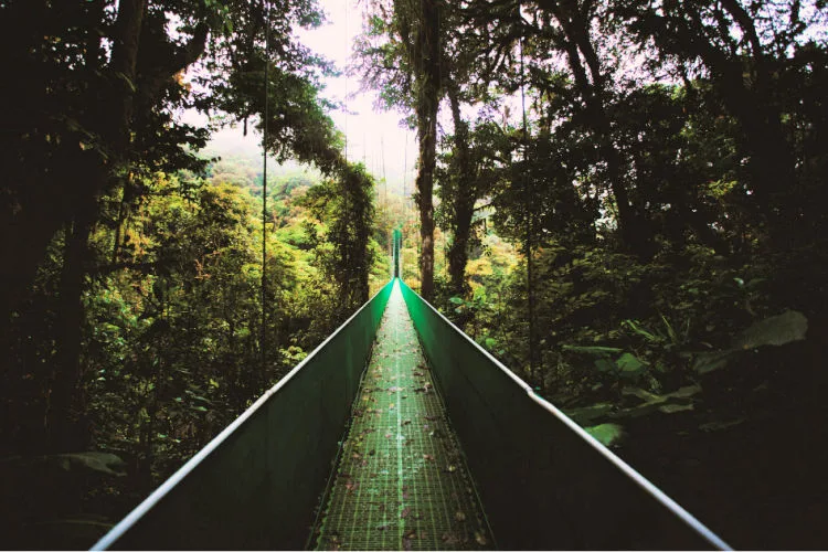 Costa Rica in Spring with kids