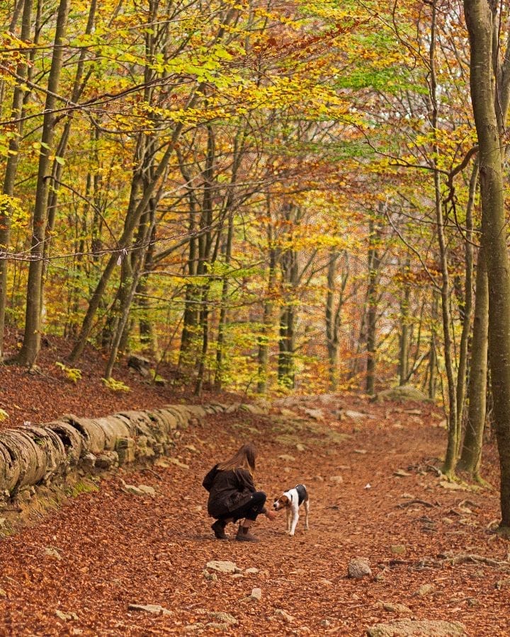 10 Mejores Lugares para Visitar en Otoño en España