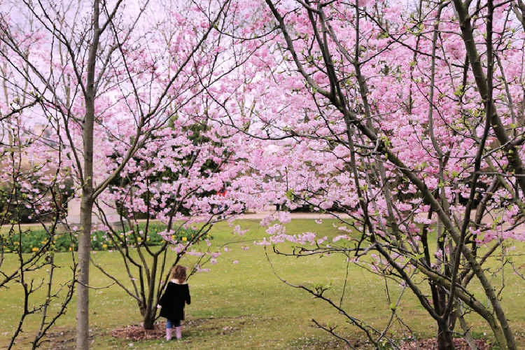 Spring break in Paris