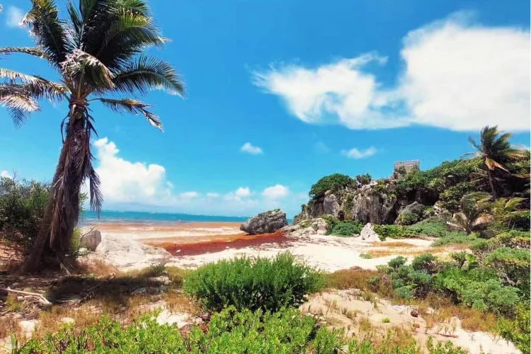 Spring break in Tulum Mexico