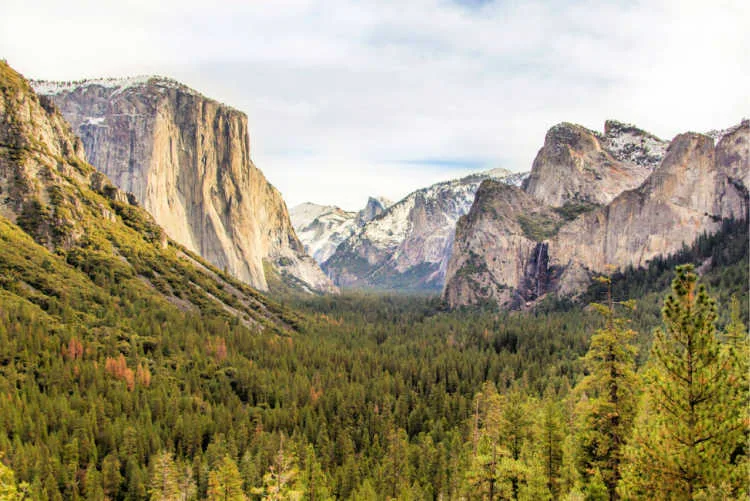 Yosemite National Park in Spring