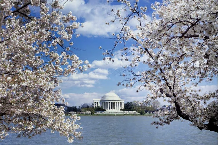 spring break destinations for families in the US