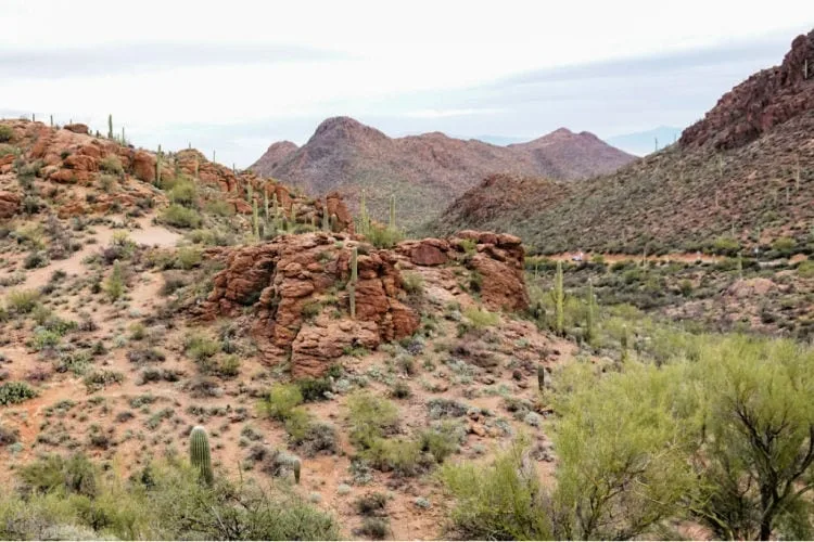 Tucson AZ Winter trips in the US