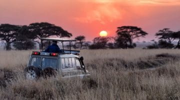 Cuáles son los mejores safaris de África