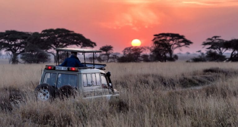 Cuáles son los mejores safaris de África 768x411