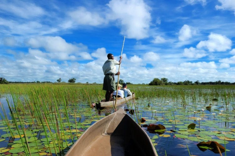 Dónde hacer un safari en África
