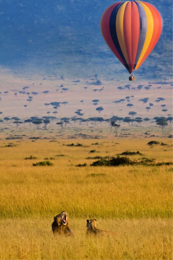 Mejores safaris del mundo