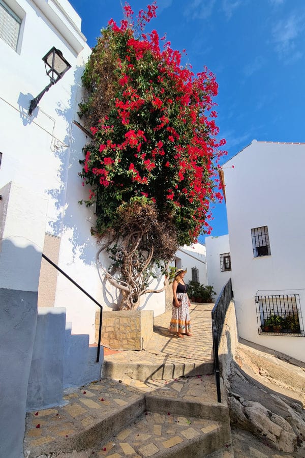Buganvillas de Salobreña Granada