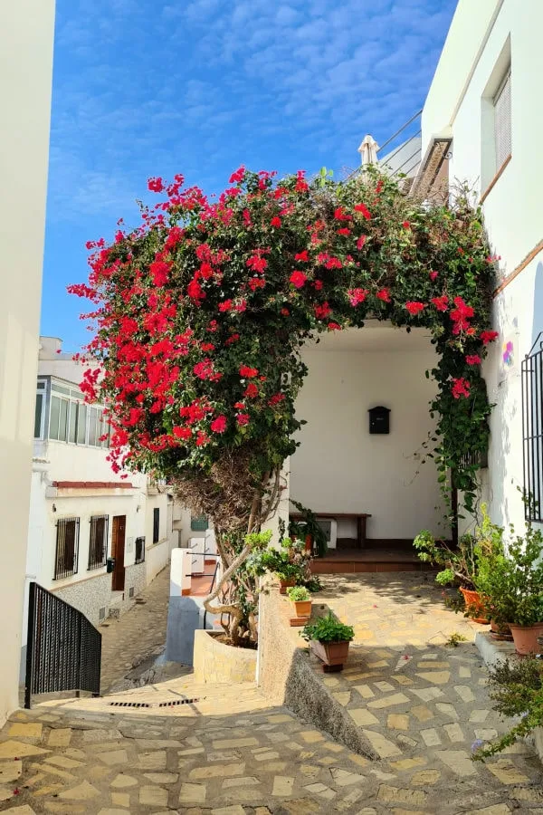 que ver en la Costa Tropical de Granada