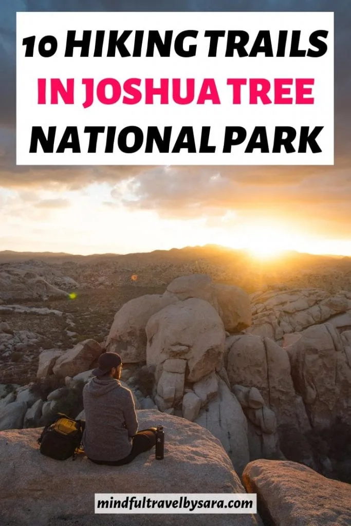 10 Best Hikes in Joshua Tree National Park